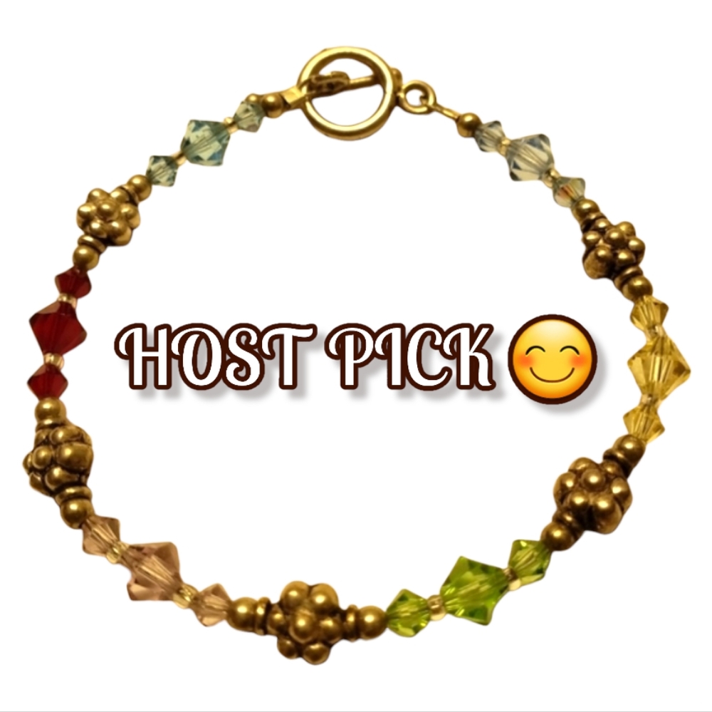 HP 😊 Wisconsin Monarch's Color Parade Bracelet 😍